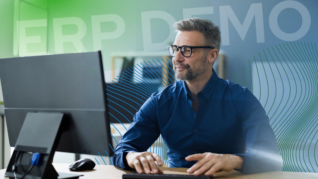 Erp demos