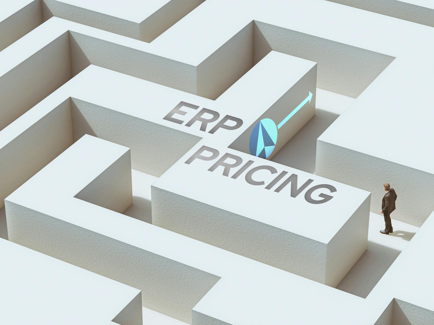 Erp price guide