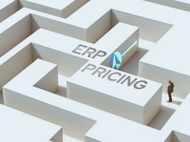 Erp price guide