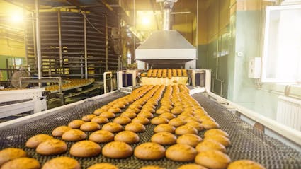 Food & Beverage ERP Case Study - Baker Boy