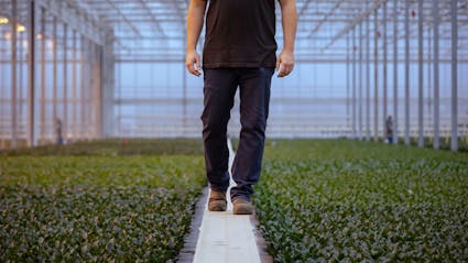 Total ETO Case Study - Bold Robotics