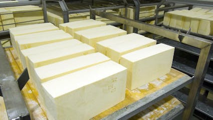 Food & Beverage ERP Case Study - Cypress Grove