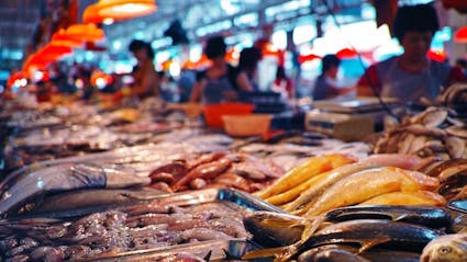 Food Connex Case Study - Go Fish Company
