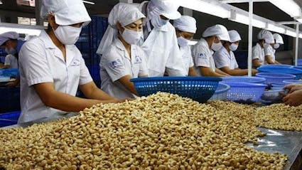 Food & Beverage ERP Case Study - Green Valley Pecan
