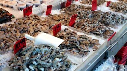 Food Connex Case Study - Puerto Plata Seafood Market